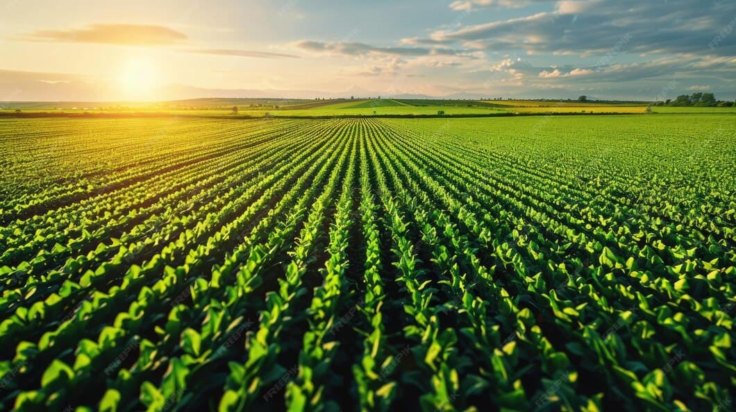 Taqwa Natural Agro — Ethical Investment, Real Growth, and Sustainable Prosperity